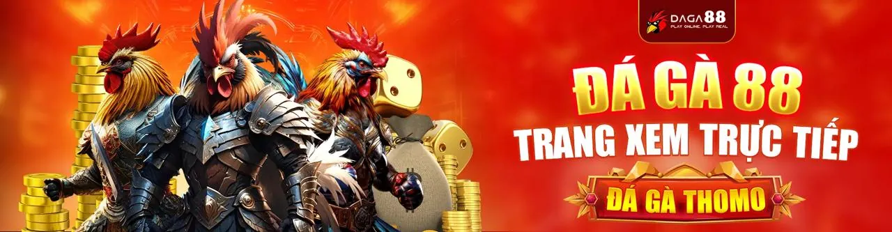 Trải nghiệm đá gà trực tuyến đỉnh cao tại 0123win nổ hũ