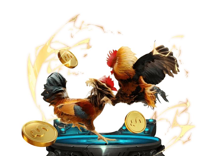 Hoàn trả cược 0123win